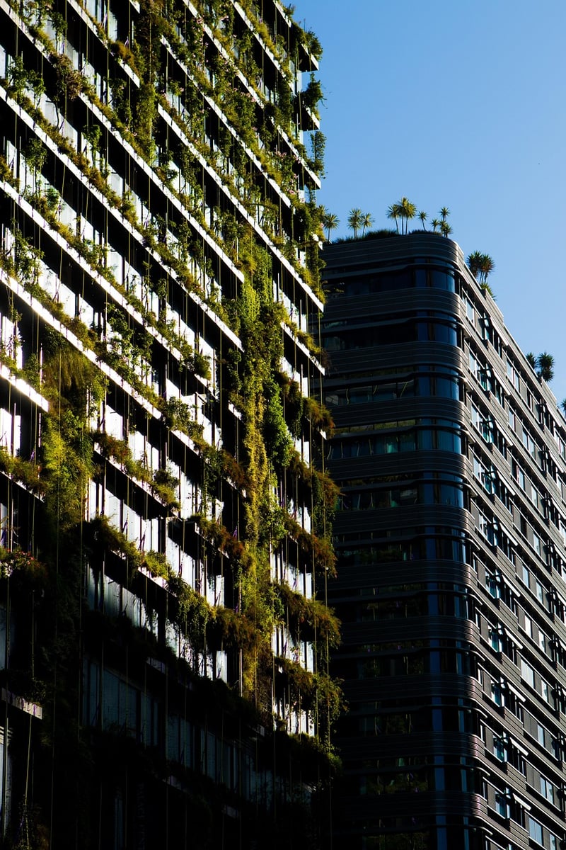 Sustainable Fashion
